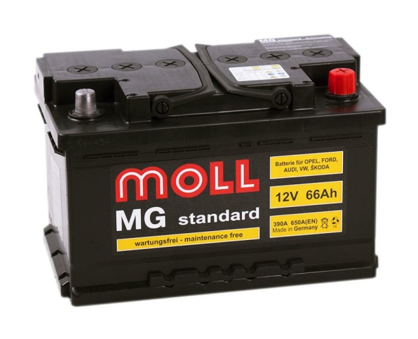 Moll Standard MG 6CT-66R