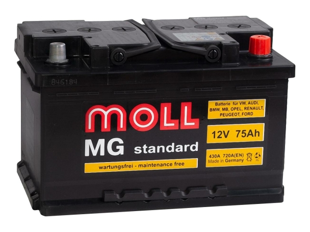Moll Standard MG 6CT-75R