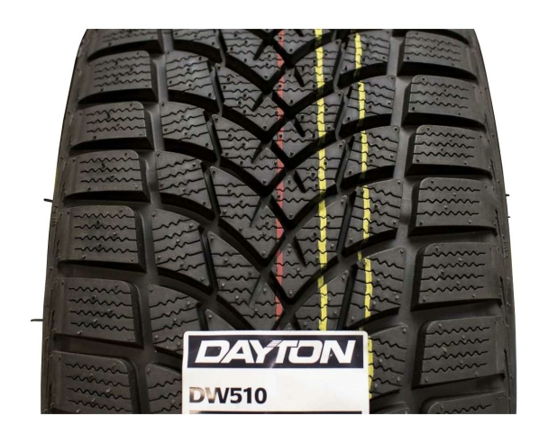 Зимние шины Dayton DW510